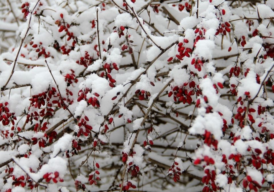 Спокойной ночи, Новгородская область!