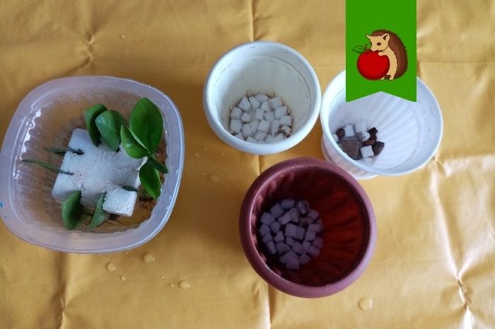 Удивительная многофункциональность пенопласта: 4 оригинальных способа в садоводстве