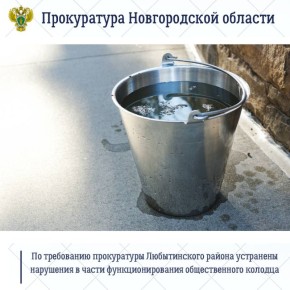 Прокуратура Любытинского района по обращению местных жителей, поступивших с личного приема первого заместителя прокурора области Павла Россоловского, провела проверку соблюдения требований законодательства о водоснабжении