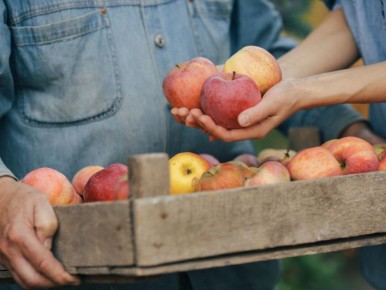 Как сохранить яблоки свежими до весны: секреты и хитрости