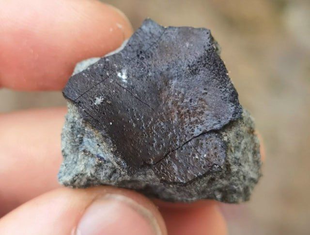 Условное название пролетевшего метеорита связали с Новгородской областью