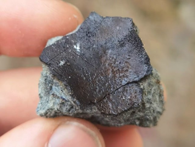 Условное название пролетевшего метеорита связали с Новгородской областью