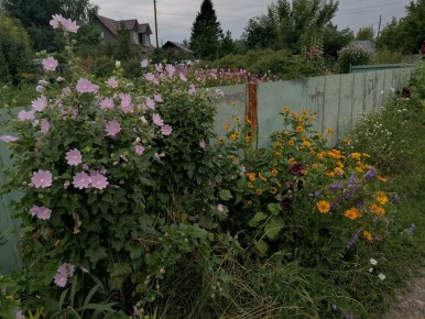 Как подготовить инструменты и выбрать идеальный кирпич для вашего проекта