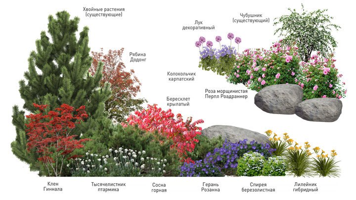 В одном из новгородских скверов могут появиться вишни, груши и яблони В одном из новгородских скверов могут появиться вишни, груши и яблони