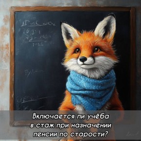 Учёба как рабочий стаж: что нужно знать перед выходом на пенсию?