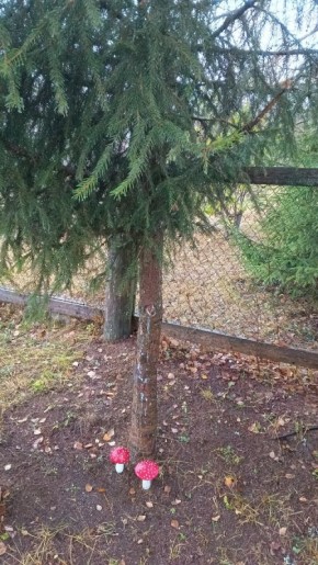 Как сохранить радость в жизни после выхода на пенсию: вдохновляющие примеры