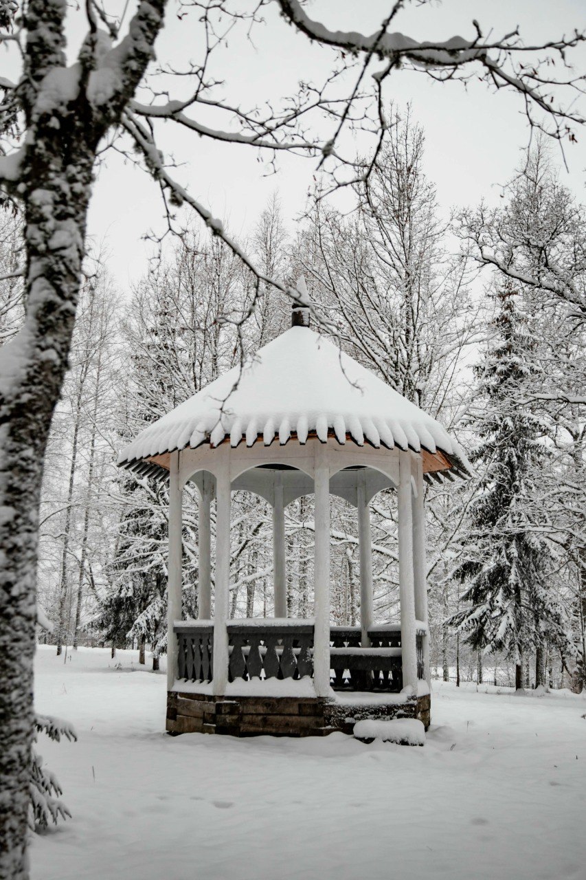 В одном из новгородских музеев появится открытый кинотеатр В одном из новгородских музеев появится открытый кинотеатр