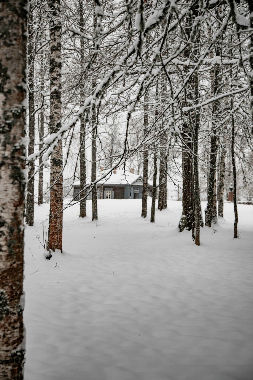 В одном из новгородских музеев появится открытый кинотеатр В одном из новгородских музеев появится открытый кинотеатр