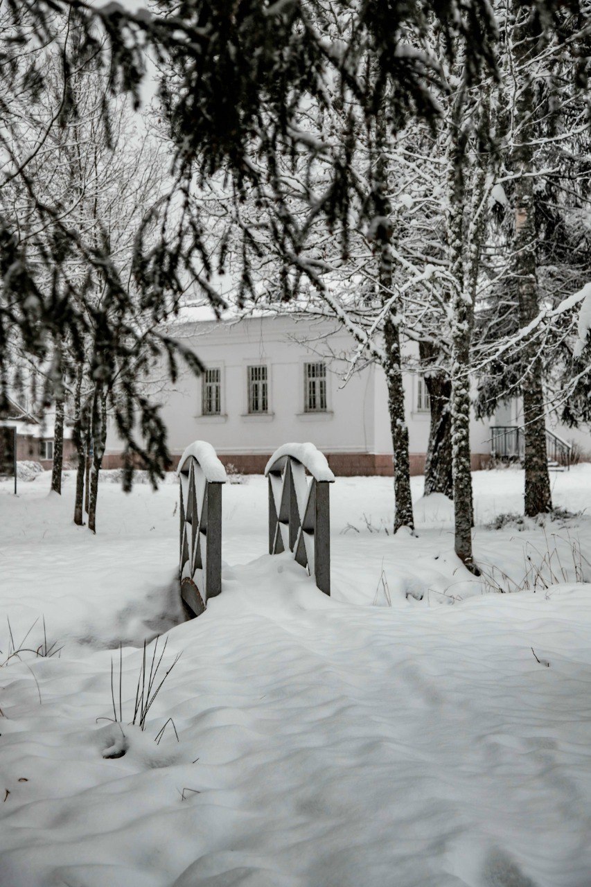 В одном из новгородских музеев появится открытый кинотеатр В одном из новгородских музеев появится открытый кинотеатр