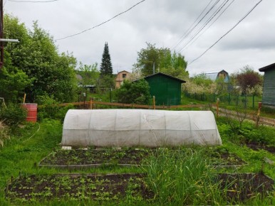 Как провести дождливый день на даче: идеи для продуктивного времяпрепровождения