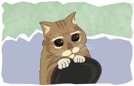 Пенсионные перспективы для ИП и самозанятых: что нужно знать в 2025 году