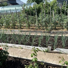 Как не терять урожай: осенние идеи для вашего огорода