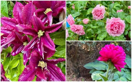 Как утренний ритуал счастья формирует наш день