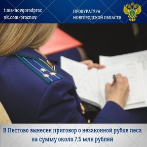 Пестовский районный суд с участием представителя прокуратуры Пестовского района вынес обвинительный приговор по уголовному делу в отношении 45-летнего местного жителя Михаила Герасимова