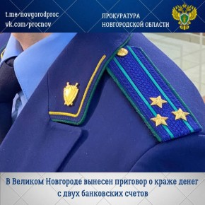 Новгородский районный суд с участием представителя прокуратуры Великого Новгорода вынес обвинительный приговор по уголовному делу в отношении 36-летнего жителя Нижегородской области Александра Гордеева