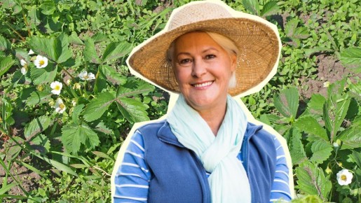 Положите это под кусты клубники: о сорняках можно будет забыть на все лето