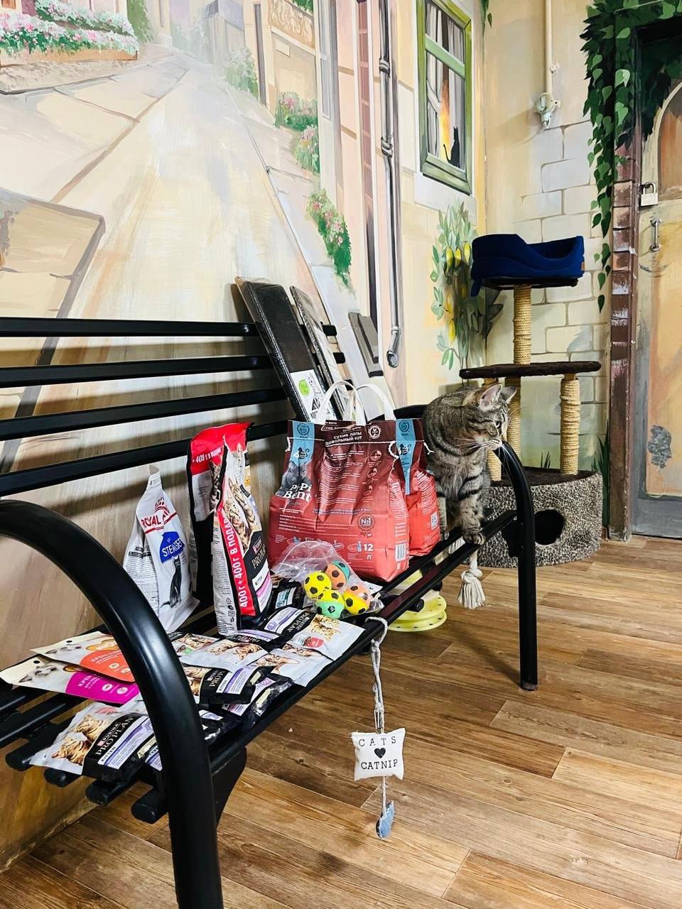 Участник проекта «СВОи Герои 53» Вячеслав Холеев посетил приют для животных Участник проекта «СВОи Герои 53» Вячеслав Холеев посетил приют для животных