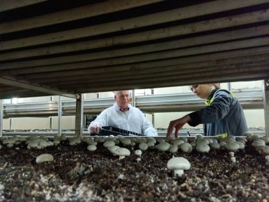 Из Новгородчины в Водянскую школу №2 в Запорожье будет доставлен 3D принтер