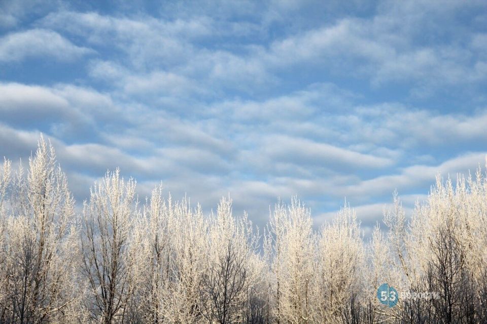 ������ ��� ������� �������� ���������, ��������� � ������ ����� � 1 �� 7 �������