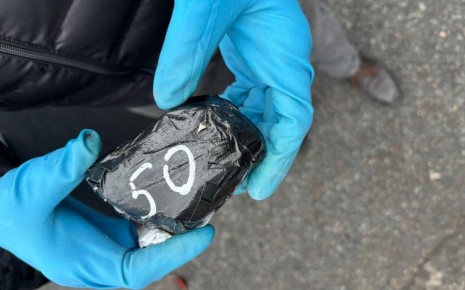 Наркокурьер с крупной партией синтетического наркотика задержан на трассе М-11 в Новгородской области