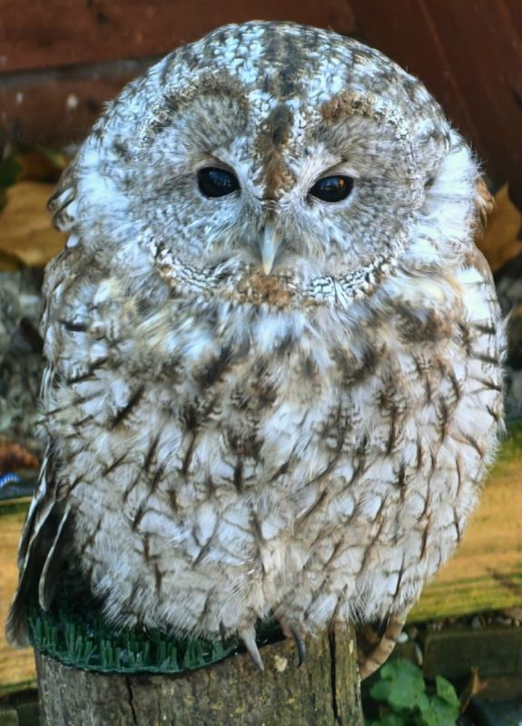 ������������ ���������� ���� ���������� �� ���� �������� ������