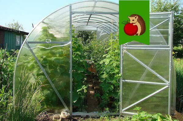 ����� ������������� ��� �������: ����� ������� ����������� � 2025 ����?