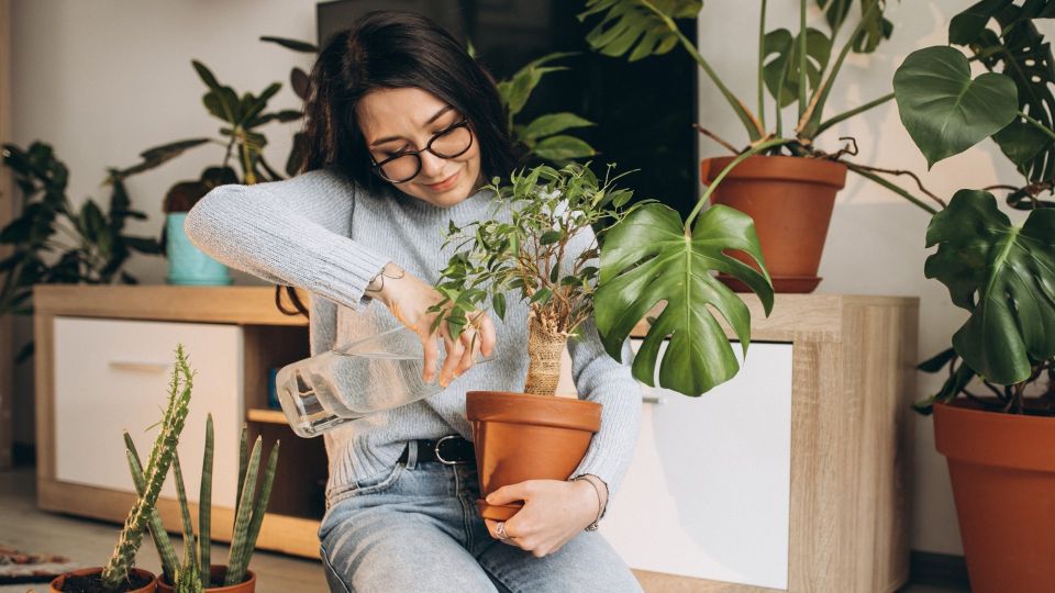 ���� ����-������� ������ ��������� ��������: ��������� �� ����, ��� ���� �� �����