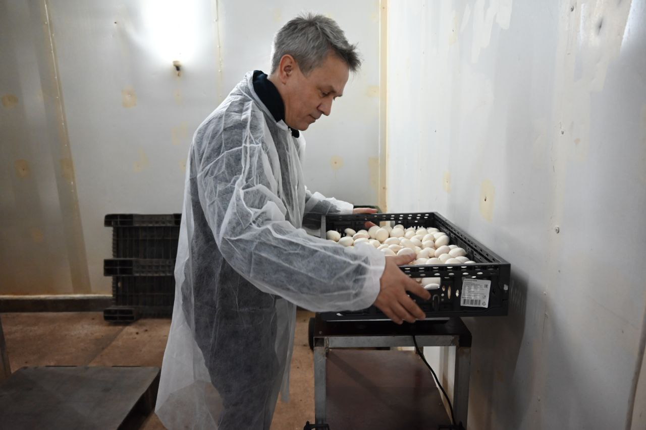 Новгородские парламентарии помогают жителям Запорожья Новгородские парламентарии помогают жителям Запорожья