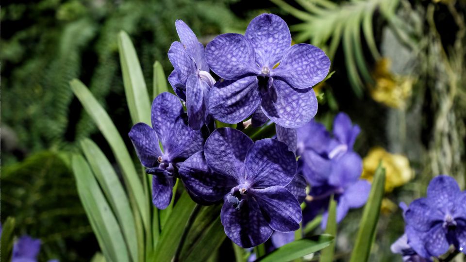 ����� ������� �����: ��� ���������� �� ������ � ������