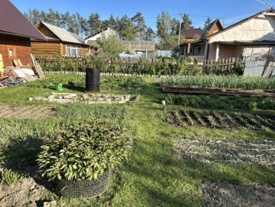 Как спасти растения на даче от резкого похолодания: эффективные советы