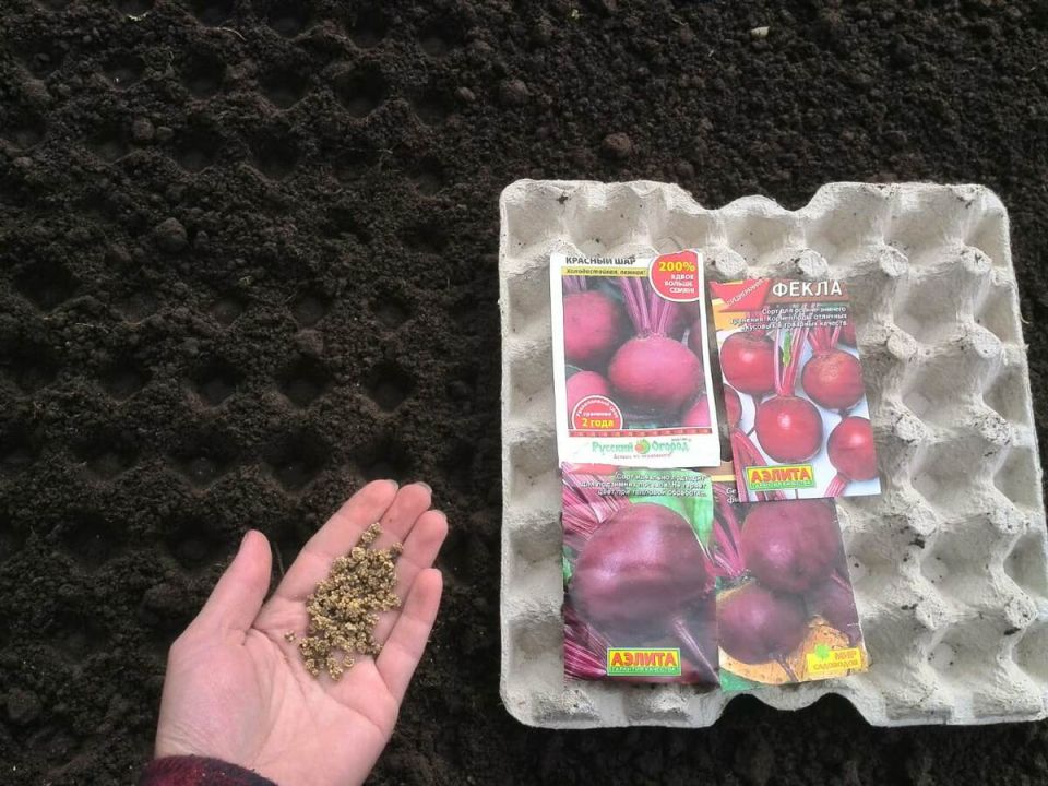 ��� ������� ����� ������������ � ������ ������: ������� ������������ ��������������