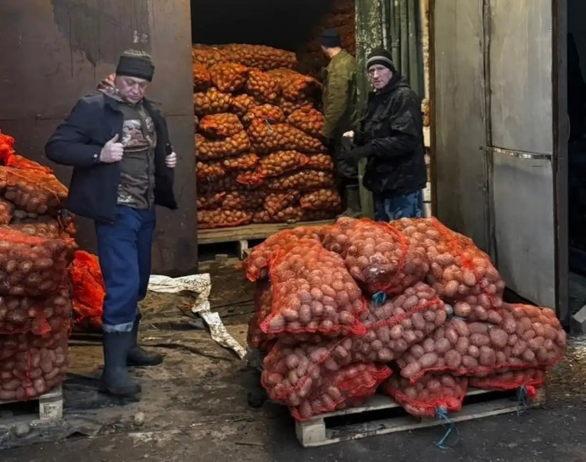 Мошенской фермер передал в зону СВО 10 тонн картофеля