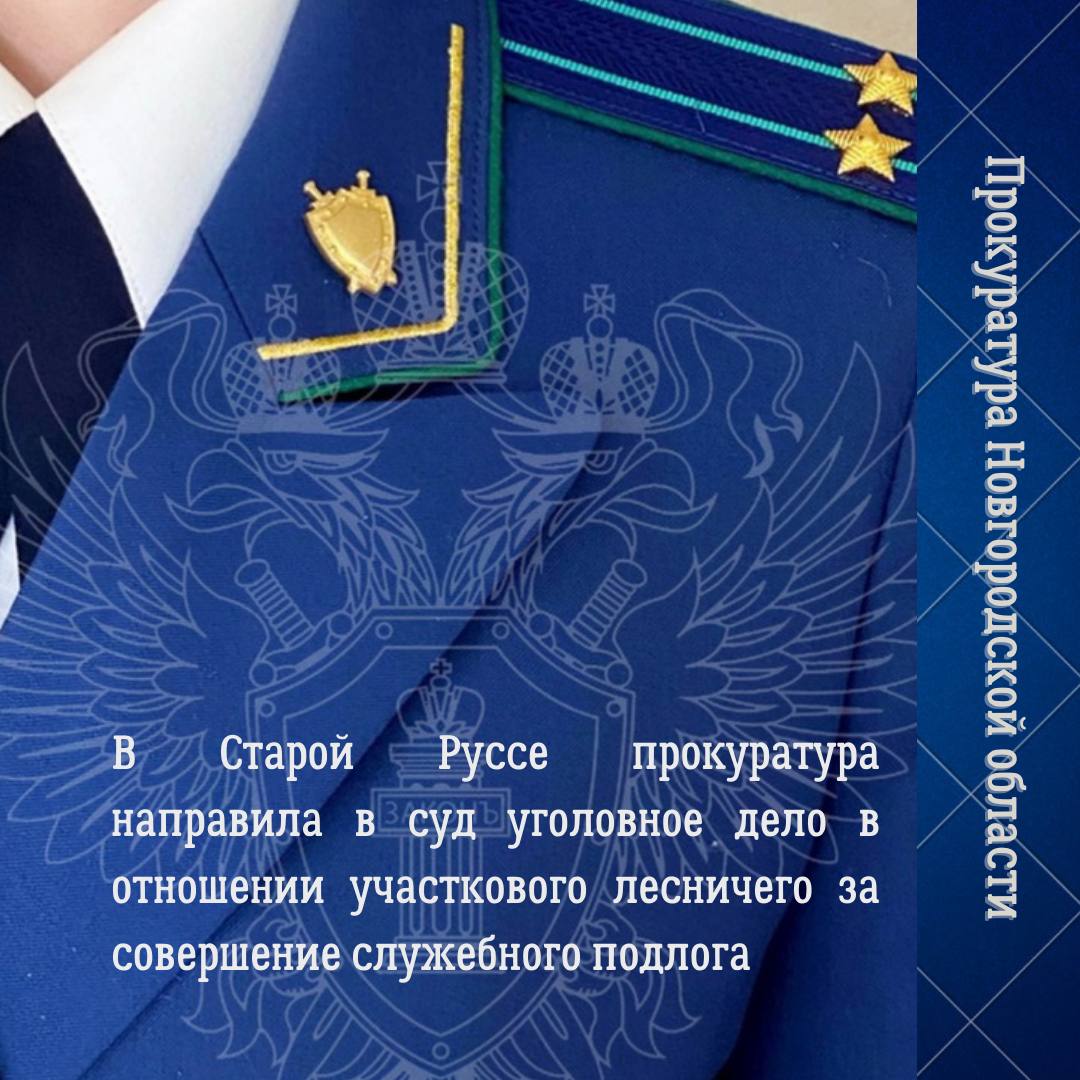 Старорусская межрайонная прокуратура утвердила обвинительное заключение по уголовному делу в отношении участкового лесничего Шубинского лесничества ГОКУ «Старорусское лесничество»