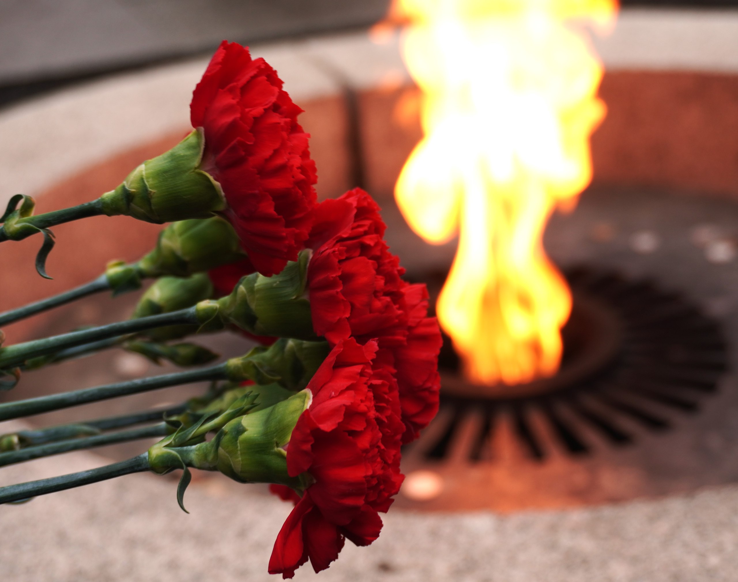 У «Вечного Огня Славы» состоялся митинг ко Дню Неизвестного Солдата