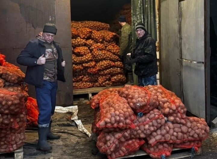 Мошенской фермер отправил в зону СВО 10 тонн отборного картофеля Мошенской фермер отправил в зону СВО 10 тонн отборного картофеля