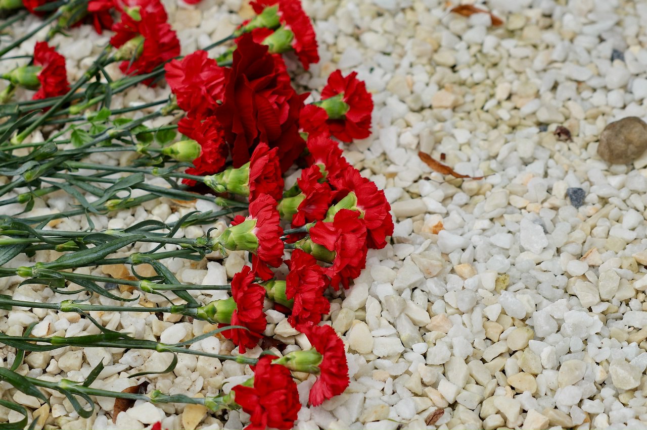 Новгородцы почтили память павших воинов в День Неизвестного Солдата Новгородцы почтили память павших воинов в День Неизвестного Солдата