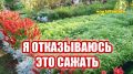 Как выбрать оптимальные культуры для вашего огорода: полезные советы и рекомендации