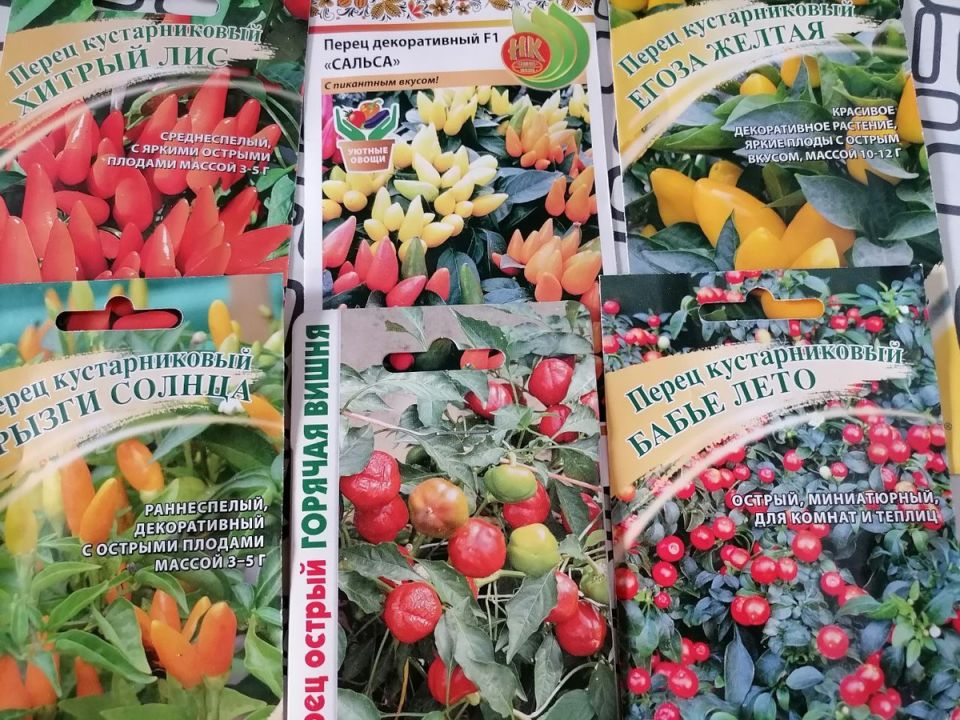 ��������� �����: ��� ������� ��������� ���� ��� ������ �����������