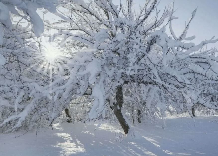 ��� �������� ��������� ����� ������ �� -40 �C? ������������� ������������ ���������������