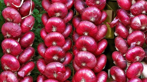 Фиолетовый лук: ценный источник здоровья и красоты