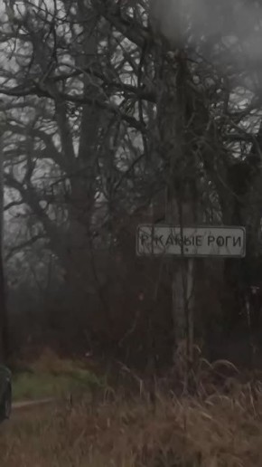 Жительница деревни Ржаные Роги рассказала, почему полюбила жизнь в новгородской глубинке