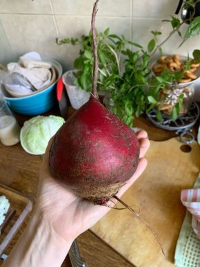 Свекла: удивительный суперфуд, который стоит добавить в ваш рацион