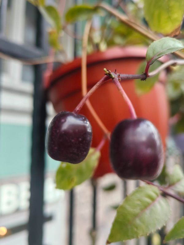 ��� �������� ��� ��������� ��� ���� ������ � ��������