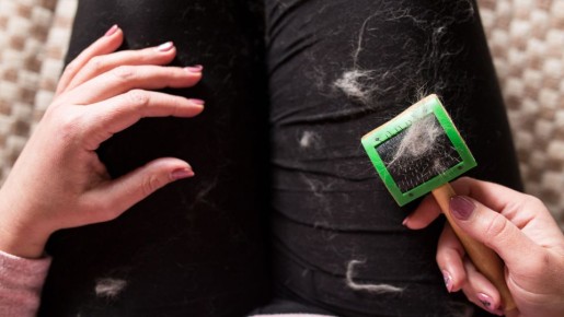 Шерсть животных с одежды исчезнет после первой же стирки: в машинку закиньте вот что