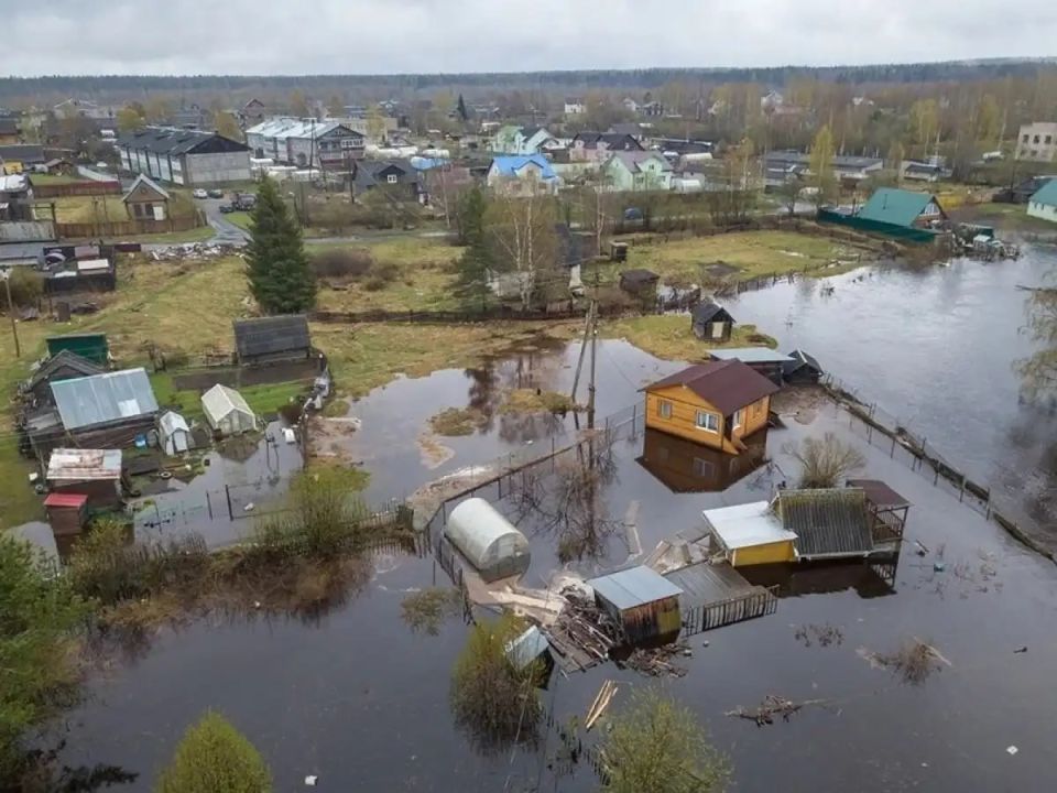 � ������� �������� ������������� ����� ����� ���� ���������� ���� ������