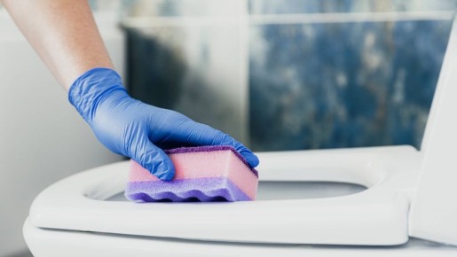 Немецкие хозяйки чистят унитаз только так: на «химию» и освежители не тратятся