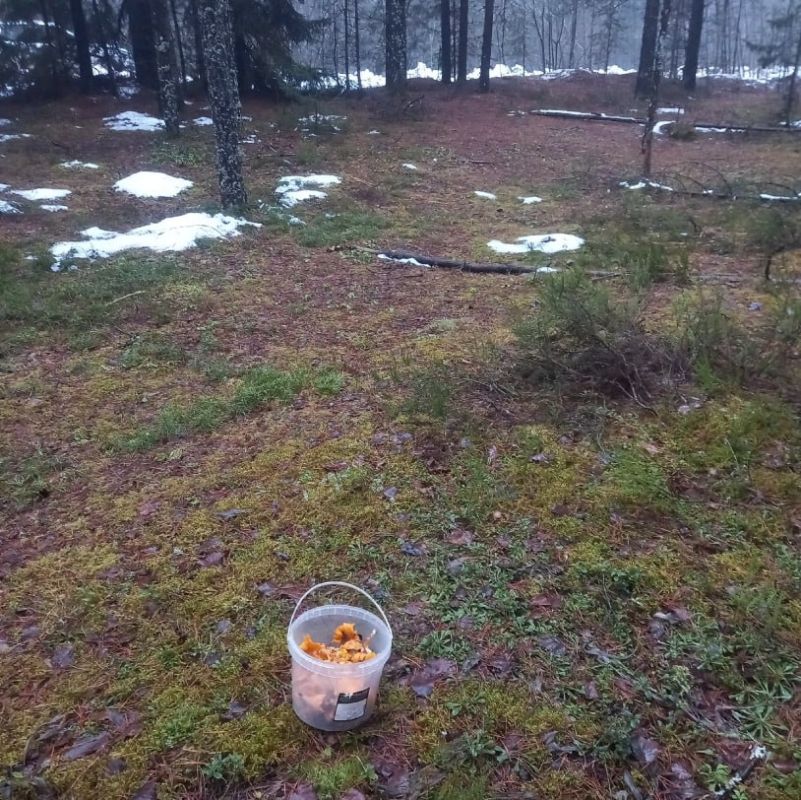 ������������ �������� ������ ������ �������� � ����� ����������� �������