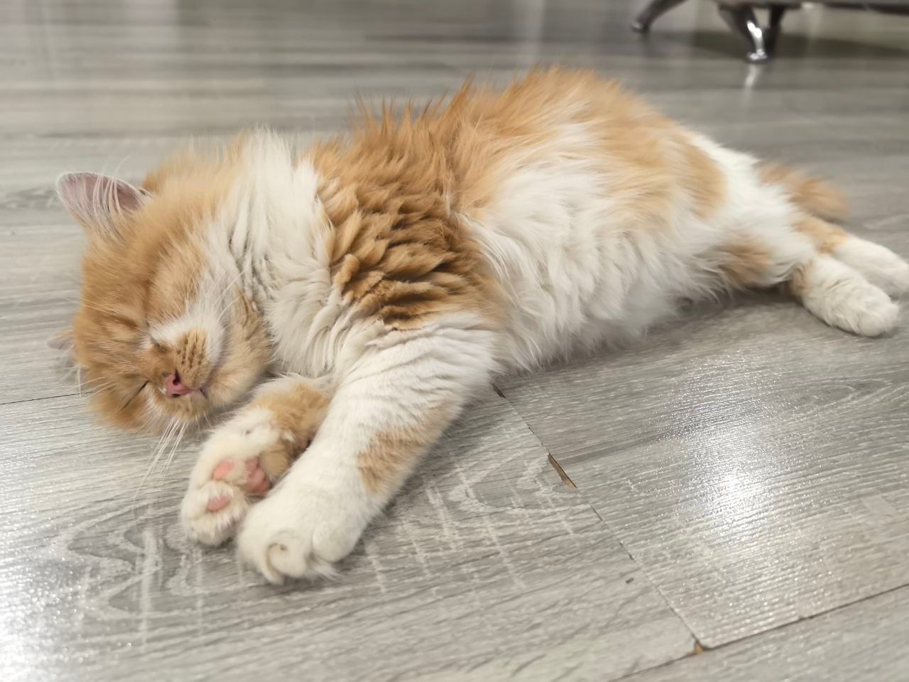 Максим Бомбин доставил гуманитарный груз в зону спецоперации Максим Бомбин доставил гуманитарный груз в зону спецоперации