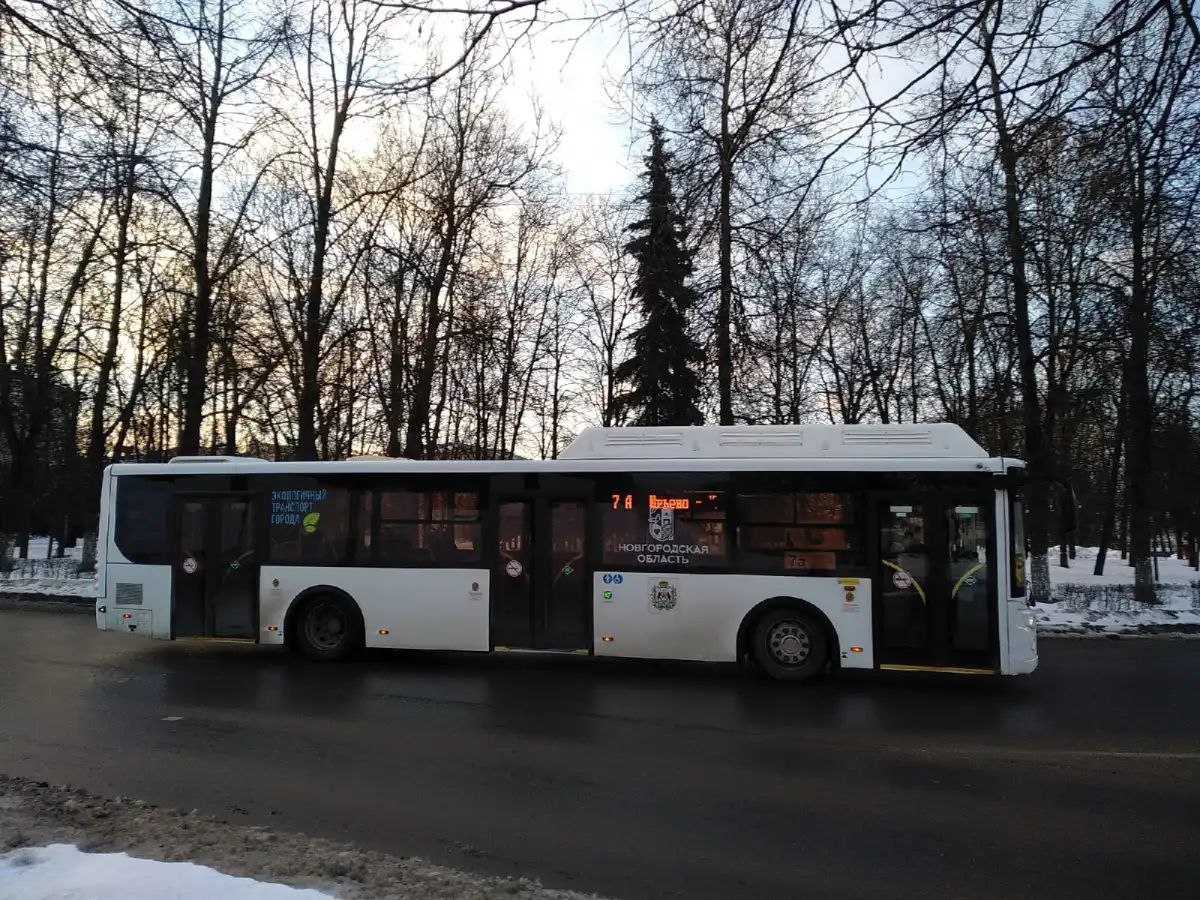 В Новгородской области планируют повышать зарплату водителям автобусов