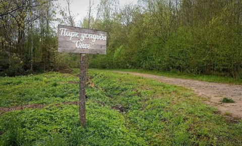 К новгородской усадьбе Рахманинова «Онег» планируют построить дорогу